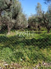 Οικόπεδο 1.000 τ.μ. για πώληση, Αχαΐα, Λάρισσος-thumb-21