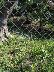 Οικόπεδο 1.000 τ.μ. για πώληση, Αχαΐα, Λάρισσος-thumb-24