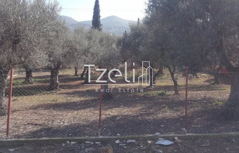 Οικόπεδο 1.000 τ.μ. για πώληση