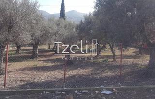 Οικόπεδο 1.000 τ.μ. για πώληση