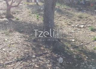 Οικόπεδο 1.000 τ.μ. για πώληση, Αχαΐα, Μεσσατίδα-thumb-9