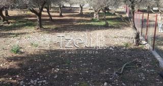 Οικόπεδο 1.000 τ.μ. για πώληση, Αχαΐα, Μεσσατίδα-thumb-10