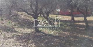 Οικόπεδο 1.000 τ.μ. για πώληση, Αχαΐα, Μεσσατίδα-thumb-13