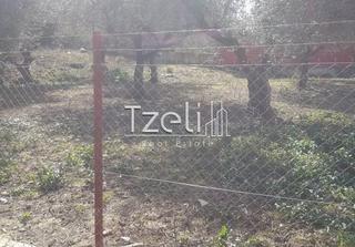 Οικόπεδο 1.000 τ.μ. για πώληση, Αχαΐα, Μεσσατίδα-thumb-15