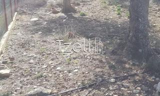 Οικόπεδο 1.000 τ.μ. για πώληση, Αχαΐα, Μεσσατίδα-thumb-17