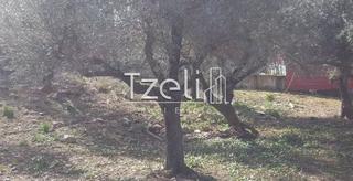 Οικόπεδο 1.000 τ.μ. για πώληση, Αχαΐα, Μεσσατίδα-thumb-18