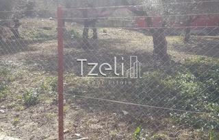 Οικόπεδο 1.000 τ.μ. για πώληση, Αχαΐα, Μεσσατίδα-thumb-22