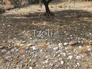 Οικόπεδο 1.000 τ.μ. για πώληση, Αχαΐα, Μεσσατίδα-thumb-24