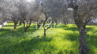 Οικόπεδο 1.000 τ.μ. για πώληση