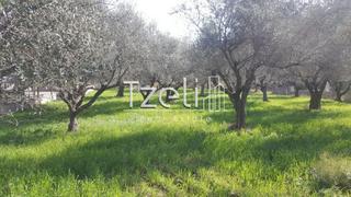 Οικόπεδο 1.000 τ.μ. για πώληση, Αχαΐα, Μεσσατίδα-thumb-1