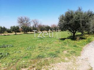 Οικόπεδο 6.400 τ.μ. για πώληση, Αχαΐα, Μόβρη-thumb-5