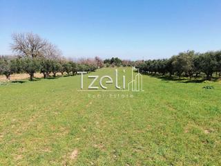 Οικόπεδο 6.400 τ.μ. για πώληση, Αχαΐα, Μόβρη-thumb-9