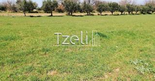 Οικόπεδο 6.400 τ.μ. για πώληση, Αχαΐα, Μόβρη-thumb-11