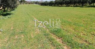 Οικόπεδο 6.400 τ.μ. για πώληση, Αχαΐα, Μόβρη-thumb-12