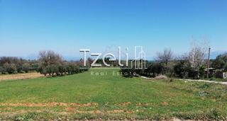 Οικόπεδο 6.400 τ.μ. για πώληση, Αχαΐα, Μόβρη-thumb-13