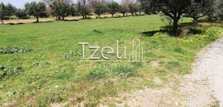 Οικόπεδο 6.400 τ.μ. για πώληση, Αχαΐα, Μόβρη-thumb-14