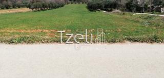 Οικόπεδο 6.400 τ.μ. για πώληση, Αχαΐα, Μόβρη-thumb-17