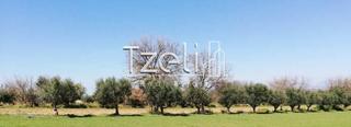 Οικόπεδο 6.400 τ.μ. για πώληση, Αχαΐα, Μόβρη-thumb-20
