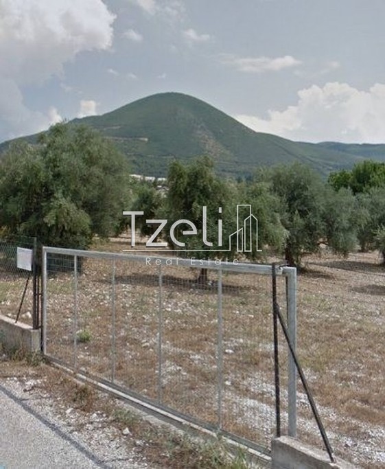 Οικόπεδο 3.500 τ.μ. για πώληση