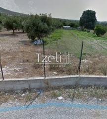 Οικόπεδο 3.500 τ.μ. για πώληση, Αχαΐα, Μεσσατίδα-thumb-1