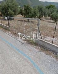 Οικόπεδο 3.500 τ.μ. για πώληση, Αχαΐα, Μεσσατίδα-thumb-2