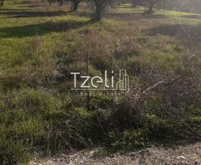 Οικόπεδο 3.500 τ.μ. για πώληση, Αχαΐα, Μεσσατίδα-thumb-16