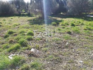 Οικόπεδο 3.500 τ.μ. για πώληση, Αχαΐα, Μεσσατίδα-thumb-23