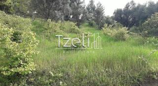 Οικόπεδο 1.500 τ.μ. για πώληση, Αχαΐα, Αιγιάλεια-thumb-1