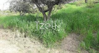 Οικόπεδο 1.500 τ.μ. για πώληση, Αχαΐα, Αιγιάλεια-thumb-2