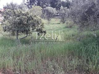 Οικόπεδο 1.500 τ.μ. για πώληση, Αχαΐα, Αιγιάλεια-thumb-4