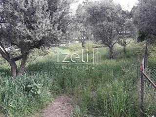 Οικόπεδο 1.500 τ.μ. για πώληση, Αχαΐα, Αιγιάλεια-thumb-9