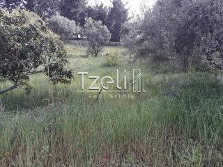 Οικόπεδο 1.500 τ.μ. για πώληση, Αχαΐα, Αιγιάλεια-thumb-11