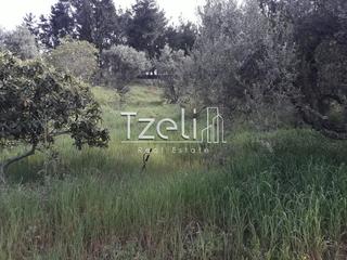 Οικόπεδο 1.500 τ.μ. για πώληση, Αχαΐα, Αιγιάλεια-thumb-14