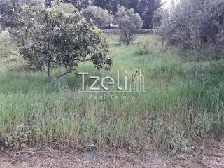 Οικόπεδο 1.500 τ.μ. για πώληση, Αχαΐα, Αιγιάλεια-thumb-17