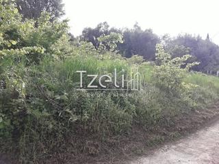 Οικόπεδο 1.500 τ.μ. για πώληση, Αχαΐα, Αιγιάλεια-thumb-18