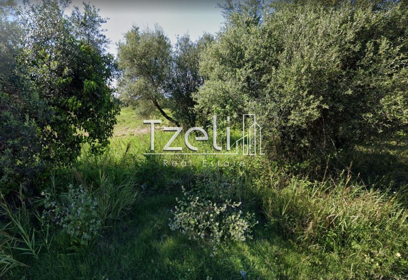 Land plot 1.000sqm for sale-Vrachneika » Monodendri