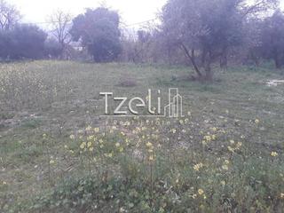 Οικόπεδο 1.000 τ.μ. για πώληση, Αχαΐα, Βραχναίικα-thumb-13