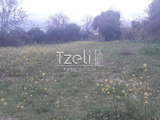 Οικόπεδο 1.000 τ.μ. για πώληση, Αχαΐα, Βραχναίικα-thumb-17