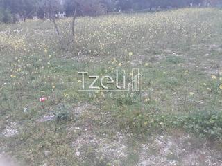 Οικόπεδο 1.000 τ.μ. για πώληση, Αχαΐα, Βραχναίικα-thumb-19