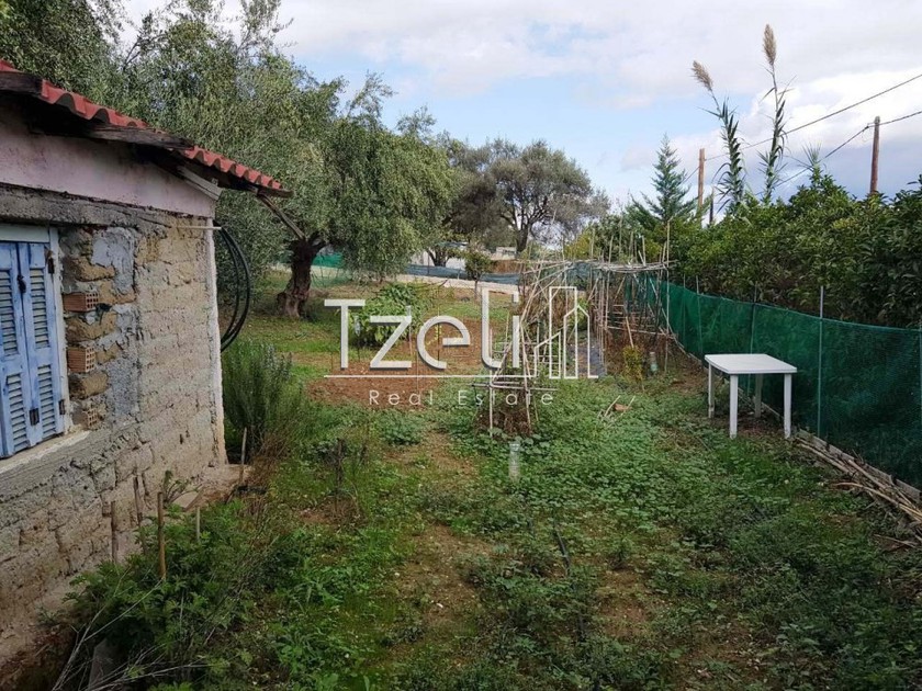 Οικόπεδο 1.800 τ.μ. για πώληση