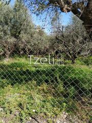 Οικόπεδο 400 τ.μ. για πώληση, Αχαΐα, Πάτρα-thumb-1