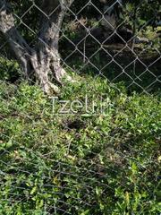 Οικόπεδο 400 τ.μ. για πώληση, Αχαΐα, Πάτρα-thumb-5