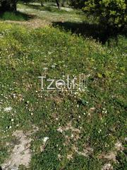 Οικόπεδο 400 τ.μ. για πώληση, Αχαΐα, Πάτρα-thumb-9