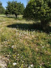 Οικόπεδο 400 τ.μ. για πώληση, Αχαΐα, Πάτρα-thumb-12