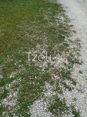 Οικόπεδο 400 τ.μ. για πώληση, Αχαΐα, Πάτρα-thumb-19