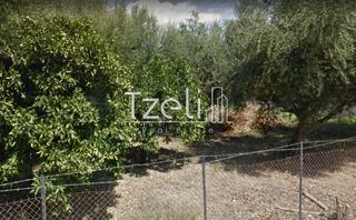 Οικόπεδο 972 τ.μ. για πώληση, Αχαΐα, Βραχναίικα-thumb-20