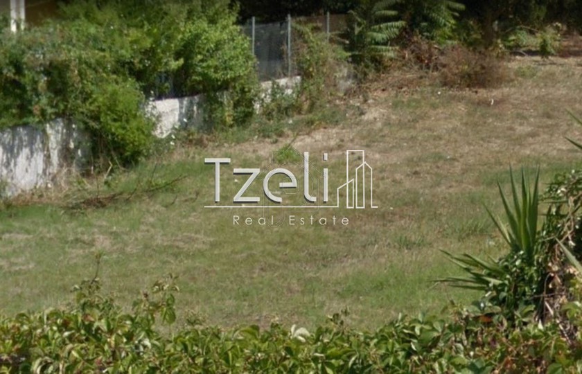 Land plot 972sqm for sale-Vrachneika » Monodendri