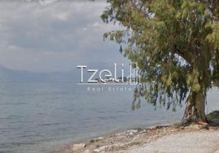 Οικόπεδο 972 τ.μ. για πώληση, Αχαΐα, Βραχναίικα-thumb-1