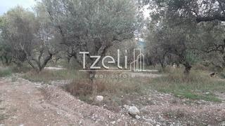 Οικόπεδο 2.800 τ.μ. για πώληση