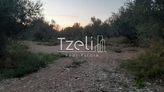 Οικόπεδο 2.800 τ.μ. για πώληση, Αχαΐα, Πάτρα-thumb-7